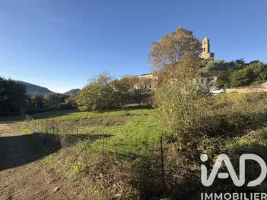 Terrain à Patrimonio (20253)