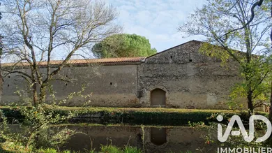 Domain in Revel (31250)