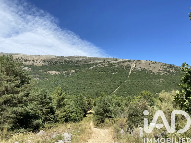 Terrain 28000 m² · à Saint-Vallier-de-Thiey · 110 525 €
