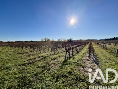 Farm land at Laudun-l'Ardoise (30290)