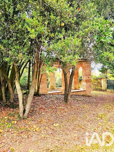 Castle in Salles-sur-l'Hers (11410)