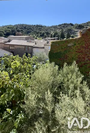 Village house at La Garde-Freinet (83680)