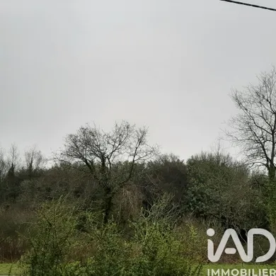 Land at Caurel (22530)