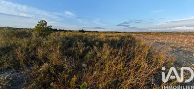 Farm land in La Palme (11480)