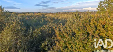 Terrain agricole  à La Palme (11480)