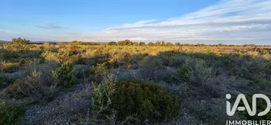 Terrain agricole  à La Palme (11480)