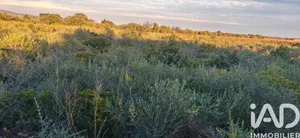 Farm land at La Palme (11480)