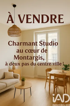 Studio à Montargis (45200)