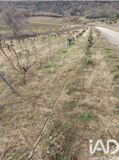 Land at caramany (66720)