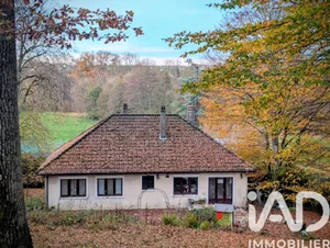 Maison à Saint-Hilaire-les-Andrésis (45320)