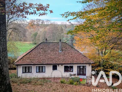 Maison à Saint-Hilaire-les-Andrésis (45320)