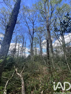 Building plot at Clarens (65300)