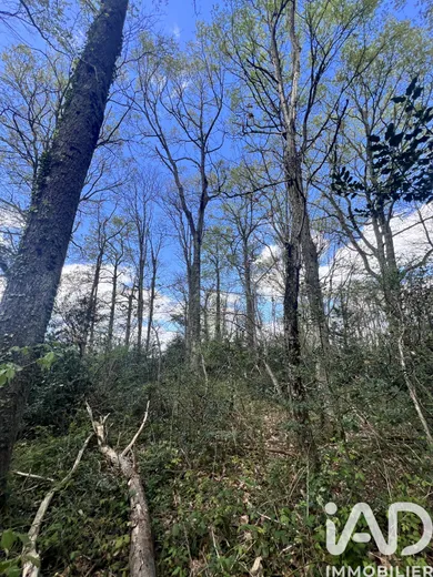 Building plot at Clarens (65300)