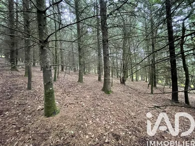 Land in Nedde (87120)