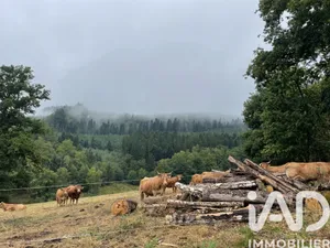 Terrain à Nedde (87120)