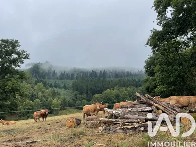 Land in Nedde (87120)