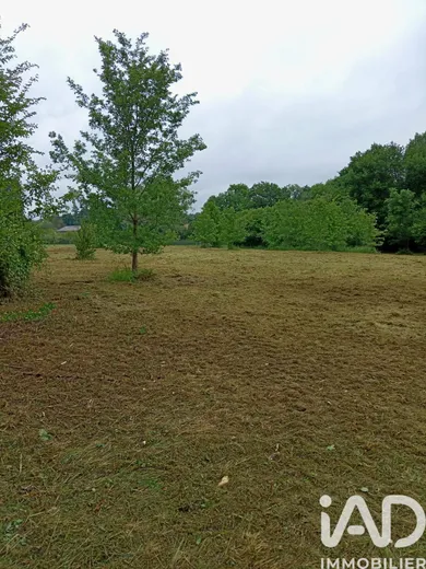 Terrain agricole  à Usson-du-Poitou (86350)