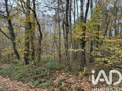 Terrain à Azay le ferron (36290)