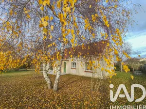 Traditional house at Dampierre-en-Burly (45570)