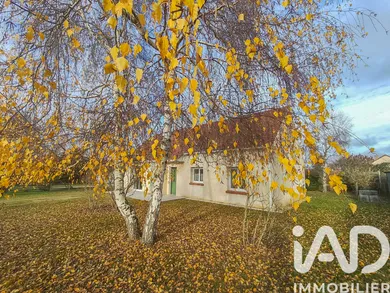 Traditional house in Dampierre-en-Burly (45570)