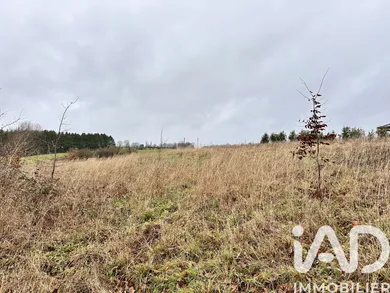 Terrain à bâtir à Auvillers-les-Forges (08260)