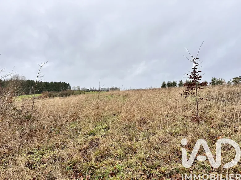 Terrain 1000 m² · à Auvillers-les-Forges · 52 000 €