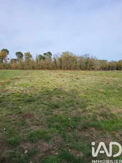 Land in BAZAS (33430)