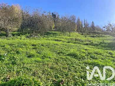 Terrain à bâtir à Monein (64360)