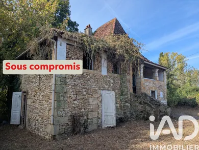 Mill in Saint-Cyprien (24220)