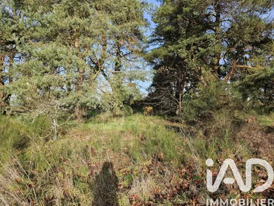Land in Vieilles-Maisons-sur-Joudry (45260)