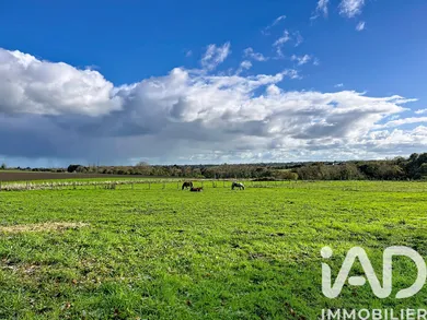 Domain at Trégomeur (22590)