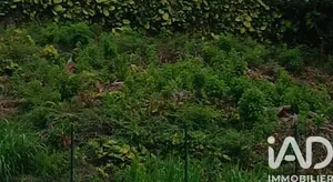 Terrain à bâtir à SAINT-JOSEPH (97480)