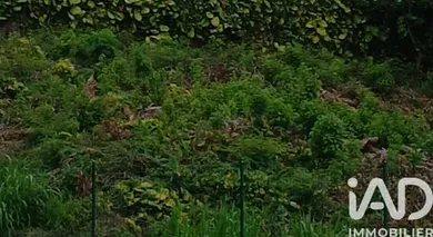 Terrain à bâtir à SAINT-JOSEPH (97480)