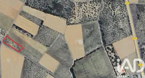 Farm land in La Palme (11480)