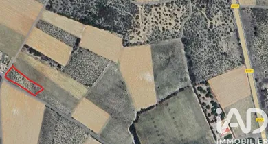 Terrain agricole à La Palme (11480)