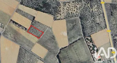 Terrain agricole à La Palme (11480)
