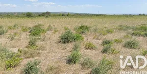 Farm land at La Palme (11480)