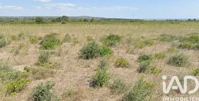 Farm land at La Palme (11480)