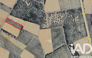 Terrain agricole à La Palme (11480)