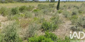 Farm land at La Palme (11480)