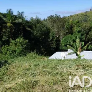 Building plot at Saint-Denis (97490)