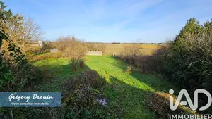Barn at Saint-Loup-des-Vignes (45340)