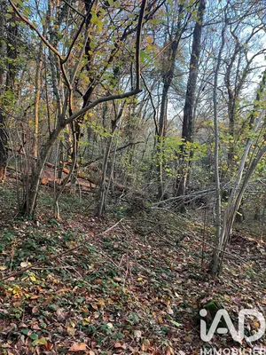 Terrain à LES BORDES (45460)