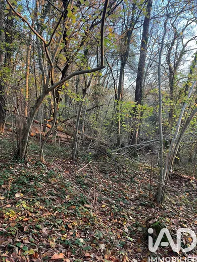 Land in LES BORDES (45460)