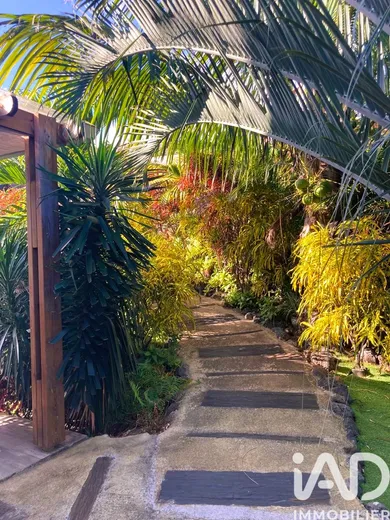 Maison à Saint-Pierre (97410)