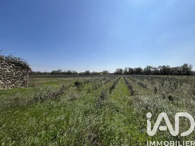 Terrain agricole à Codolet (30200)