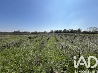 Farm land in Codolet (30200)