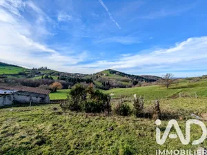 Farm at Sainte-Colombe-sur-Gand (42540)