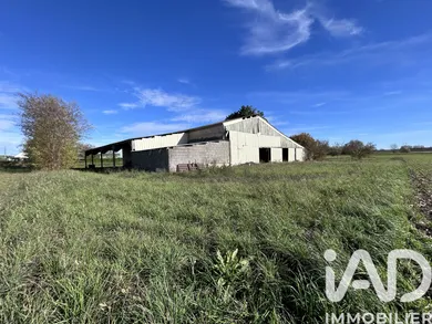 Farm in Montreuil-Bellay (49260)