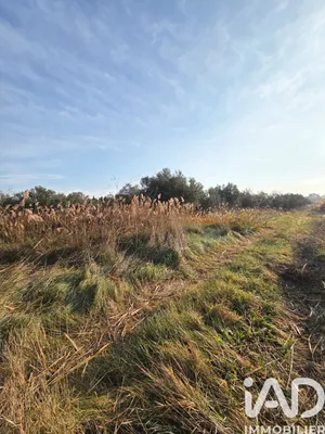 Terrain agricole à Pia (66380)